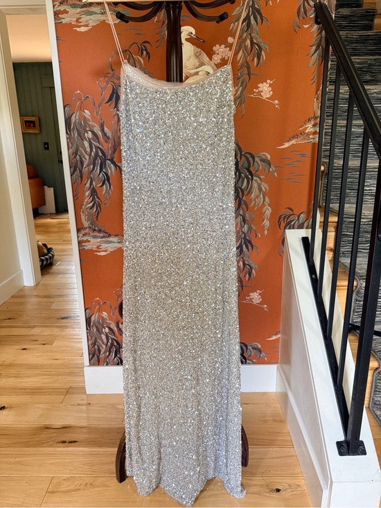 Zara Dresses & Skirts - Zara Silver Sequin Top with Sheer Trim